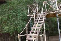 Jungle Holidayz, Jungle Holidays, Jungle Holidayz Masinagudi, Masinagudi Jeep Safari, Masinagudi Trekking, Masinagudi Gipsy Safari, Masinagudi Waterfalls, Masinagudi Camp Fire, Masinagudi Historical Places, Masinagudi Sightseeing,  Masinagudi Trekking, Masinagudi Travels, Masinagudi Tours, Masinagudi Tours And Travels, Car Rents Masinagudi, Car Rentals Ooty, Cab Services Masinagudi, Cab Rentals, Taxi Rentals, Travels Masinagudi, Tourism Masinagudi, Jungle Holidayz Ooty, Ooty Jeep Safari, Ooty Trekking, Ooty Gipsy Safari, Ooty Waterfalls, Ooty Camp Fire, Ooty Historical Places, Ooty Sightseeing, Mysore Sightseeing,  Masinagudi, Masinagudi Resorts,  Masinagudi  Resort, Masinagudi Resorts, Masinagudi Hotels, Masinagudi Jungle Lodge, Masinagudi Jungle, Masinagudi Wild Life Resorts, Masinagudi Forest Hotel, Masinagudi Forest Resorts, Wildlife Resorts In Masinagudi, Masinagudi Cottages, Masinagudi Resorts Tree House, Jungle Retreat Resort Masinagudi, Jungle Hut Resort Masinagudi, Masinagudi Resorts Tariff, Safari Land Resort Masinagudi, Masinagudi Location, Masinagudi Home Stay, Masinagudi Jungle Resort, Masinagudi Cottages, Masinagudi Tree House, Masinagudi Weather, Masinagudi To Ooty, Most Popular Resorts In Masinagudi, Best Masinagudi Resorts, Hotels In Masinagudi, Resorts In Masinagudi, Cottages In Masinagudi, Home Stay In Masinagudi, Rooms In Masinagudi, Bird Watching Masinagudi,  Birding In Masinagudi, Wildlife Resort In Masinagudi, Resorts In Masinagudi-Mudumalai, Masinagudi Location, Fire Camp In Masinagudi,  Masinagudi To Ooty, Masinagudi To Chennai,  Masinagudi To Coimbatore,  Masinagudi To Bangalore, Masinagudi Jungle Trekking,  Trekking In Masinagudi, Masinagudi Trekking Booking, Trekking Booking Ooty, Trekking Mudumalai, Trekking Nilgiris, Masinagudi Resort Booking, Masinagudi Cottage Booking, Places To Stay In Masinagudi, Trekking Through Masinagudi, Activities In Masinagudi Such As Trekking,  Adventure Jungle Camping, Adventure Jungle Package, Jungle Camping,  Jungle Package,  Luxury Adventure Package, Tree Top Package, Best Family Resort In Masinagudi, Best Family Resort In Masinagudi Mudumalai  Forest, Masinagudi Forest Wildlife Resort, Masinagudi Trekking Cost, Masinagudi Trekking Booking, Masinagudi Jeep Safari,  Masinagudi Trekking Shed, Vibudhimalai Trek, Activities In Masinagudi Mudumalai Trekking,  Night Trekking In Masinagudi, Best Forest Resort In Masinagudi‎ , Wildlife Forest Lodges & Resorts In Masinagudi