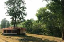 Jungle Holidayz, Jungle Holidays, Jungle Holidayz Masinagudi, Masinagudi Jeep Safari, Masinagudi Trekking, Masinagudi Gipsy Safari, Masinagudi Waterfalls, Masinagudi Camp Fire, Masinagudi Historical Places, Masinagudi Sightseeing,  Masinagudi Trekking, Masinagudi Travels, Masinagudi Tours, Masinagudi Tours And Travels, Car Rents Masinagudi, Car Rentals Ooty, Cab Services Masinagudi, Cab Rentals, Taxi Rentals, Travels Masinagudi, Tourism Masinagudi, Jungle Holidayz Ooty, Ooty Jeep Safari, Ooty Trekking, Ooty Gipsy Safari, Ooty Waterfalls, Ooty Camp Fire, Ooty Historical Places, Ooty Sightseeing, Mysore Sightseeing,  Masinagudi, Masinagudi Resorts,  Masinagudi  Resort, Masinagudi Resorts, Masinagudi Hotels, Masinagudi Jungle Lodge, Masinagudi Jungle, Masinagudi Wild Life Resorts, Masinagudi Forest Hotel, Masinagudi Forest Resorts, Wildlife Resorts In Masinagudi, Masinagudi Cottages, Masinagudi Resorts Tree House, Jungle Retreat Resort Masinagudi, Jungle Hut Resort Masinagudi, Masinagudi Resorts Tariff, Safari Land Resort Masinagudi, Masinagudi Location, Masinagudi Home Stay, Masinagudi Jungle Resort, Masinagudi Cottages, Masinagudi Tree House, Masinagudi Weather, Masinagudi To Ooty, Most Popular Resorts In Masinagudi, Best Masinagudi Resorts, Hotels In Masinagudi, Resorts In Masinagudi, Cottages In Masinagudi, Home Stay In Masinagudi, Rooms In Masinagudi, Bird Watching Masinagudi,  Birding In Masinagudi, Wildlife Resort In Masinagudi, Resorts In Masinagudi-Mudumalai, Masinagudi Location, Fire Camp In Masinagudi,  Masinagudi To Ooty, Masinagudi To Chennai,  Masinagudi To Coimbatore,  Masinagudi To Bangalore, Masinagudi Jungle Trekking,  Trekking In Masinagudi, Masinagudi Trekking Booking, Trekking Booking Ooty, Trekking Mudumalai, Trekking Nilgiris, Masinagudi Resort Booking, Masinagudi Cottage Booking, Places To Stay In Masinagudi, Trekking Through Masinagudi, Activities In Masinagudi Such As Trekking,  Adventure Jungle Camping, Adventure Jungle Package, Jungle Camping,  Jungle Package,  Luxury Adventure Package, Tree Top Package, Best Family Resort In Masinagudi, Best Family Resort In Masinagudi Mudumalai  Forest, Masinagudi Forest Wildlife Resort, Masinagudi Trekking Cost, Masinagudi Trekking Booking, Masinagudi Jeep Safari,  Masinagudi Trekking Shed, Vibudhimalai Trek, Activities In Masinagudi Mudumalai Trekking,  Night Trekking In Masinagudi, Best Forest Resort In Masinagudi‎ , Wildlife Forest Lodges & Resorts In Masinagudi
