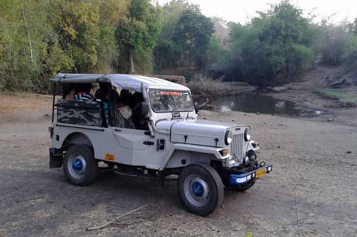 Jungle Holidayz, Jungle Holidays, Jungle Holidayz Masinagudi, Masinagudi Jeep Safari, Masinagudi Trekking, Masinagudi Gipsy Safari, Masinagudi Waterfalls, Masinagudi Camp Fire, Masinagudi Historical Places, Masinagudi Sightseeing,  Masinagudi Trekking, Masinagudi Travels, Masinagudi Tours, Masinagudi Tours And Travels, Car Rents Masinagudi, Car Rentals Ooty, Cab Services Masinagudi, Cab Rentals, Taxi Rentals, Travels Masinagudi, Tourism Masinagudi, Jungle Holidayz Ooty, Ooty Jeep Safari, Ooty Trekking, Ooty Gipsy Safari, Ooty Waterfalls, Ooty Camp Fire, Ooty Historical Places, Ooty Sightseeing, Mysore Sightseeing,  Masinagudi, Masinagudi Resorts,  Masinagudi  Resort, Masinagudi Resorts, Masinagudi Hotels, Masinagudi Jungle Lodge, Masinagudi Jungle, Masinagudi Wild Life Resorts, Masinagudi Forest Hotel, Masinagudi Forest Resorts, Wildlife Resorts In Masinagudi, Masinagudi Cottages, Masinagudi Resorts Tree House, Jungle Retreat Resort Masinagudi, Jungle Hut Resort Masinagudi, Masinagudi Resorts Tariff, Safari Land Resort Masinagudi, Masinagudi Location, Masinagudi Home Stay, Masinagudi Jungle Resort, Masinagudi Cottages, Masinagudi Tree House, Masinagudi Weather, Masinagudi To Ooty, Most Popular Resorts In Masinagudi, Best Masinagudi Resorts, Hotels In Masinagudi, Resorts In Masinagudi, Cottages In Masinagudi, Home Stay In Masinagudi, Rooms In Masinagudi, Bird Watching Masinagudi,  Birding In Masinagudi, Wildlife Resort In Masinagudi, Resorts In Masinagudi-Mudumalai, Masinagudi Location, Fire Camp In Masinagudi,  Masinagudi To Ooty, Masinagudi To Chennai,  Masinagudi To Coimbatore,  Masinagudi To Bangalore, Masinagudi Jungle Trekking,  Trekking In Masinagudi, Masinagudi Trekking Booking, Trekking Booking Ooty, Trekking Mudumalai, Trekking Nilgiris, Masinagudi Resort Booking, Masinagudi Cottage Booking, Places To Stay In Masinagudi, Trekking Through Masinagudi, Activities In Masinagudi Such As Trekking,  Adventure Jungle Camping, Adventure Jungle Package, Jungle Camping,  Jungle Package,  Luxury Adventure Package, Tree Top Package, Best Family Resort In Masinagudi, Best Family Resort In Masinagudi Mudumalai  Forest, Masinagudi Forest Wildlife Resort, Masinagudi Trekking Cost, Masinagudi Trekking Booking, Masinagudi Jeep Safari,  Masinagudi Trekking Shed, Vibudhimalai Trek, Activities In Masinagudi Mudumalai Trekking,  Night Trekking In Masinagudi, Best Forest Resort In Masinagudi‎ , Wildlife Forest Lodges & Resorts In Masinagudi
