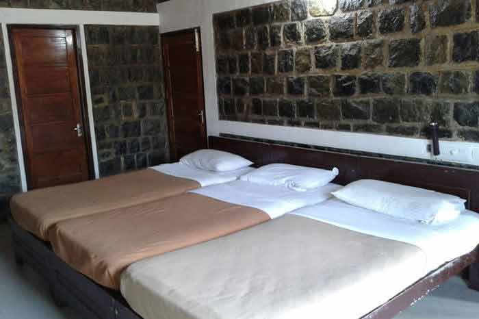Jungle Holidayz, Jungle Holidays, Jungle Holidayz Masinagudi, Masinagudi Jeep Safari, Masinagudi Trekking, Masinagudi Gipsy Safari, Masinagudi Waterfalls, Masinagudi Camp Fire, Masinagudi Historical Places, Masinagudi Sightseeing,  Masinagudi Trekking, Masinagudi Travels, Masinagudi Tours, Masinagudi Tours And Travels, Car Rents Masinagudi, Car Rentals Ooty, Cab Services Masinagudi, Cab Rentals, Taxi Rentals, Travels Masinagudi, Tourism Masinagudi, Jungle Holidayz Ooty, Ooty Jeep Safari, Ooty Trekking, Ooty Gipsy Safari, Ooty Waterfalls, Ooty Camp Fire, Ooty Historical Places, Ooty Sightseeing, Mysore Sightseeing,  Masinagudi, Masinagudi Resorts,  Masinagudi  Resort, Masinagudi Resorts, Masinagudi Hotels, Masinagudi Jungle Lodge, Masinagudi Jungle, Masinagudi Wild Life Resorts, Masinagudi Forest Hotel, Masinagudi Forest Resorts, Wildlife Resorts In Masinagudi, Masinagudi Cottages, Masinagudi Resorts Tree House, Jungle Retreat Resort Masinagudi, Jungle Hut Resort Masinagudi, Masinagudi Resorts Tariff, Safari Land Resort Masinagudi, Masinagudi Location, Masinagudi Home Stay, Masinagudi Jungle Resort, Masinagudi Cottages, Masinagudi Tree House, Masinagudi Weather, Masinagudi To Ooty, Most Popular Resorts In Masinagudi, Best Masinagudi Resorts, Hotels In Masinagudi, Resorts In Masinagudi, Cottages In Masinagudi, Home Stay In Masinagudi, Rooms In Masinagudi, Bird Watching Masinagudi,  Birding In Masinagudi, Wildlife Resort In Masinagudi, Resorts In Masinagudi-Mudumalai, Masinagudi Location, Fire Camp In Masinagudi,  Masinagudi To Ooty, Masinagudi To Chennai,  Masinagudi To Coimbatore,  Masinagudi To Bangalore, Masinagudi Jungle Trekking,  Trekking In Masinagudi, Masinagudi Trekking Booking, Trekking Booking Ooty, Trekking Mudumalai, Trekking Nilgiris, Masinagudi Resort Booking, Masinagudi Cottage Booking, Places To Stay In Masinagudi, Trekking Through Masinagudi, Activities In Masinagudi Such As Trekking,  Adventure Jungle Camping, Adventure Jungle Package, Jungle Camping,  Jungle Package,  Luxury Adventure Package, Tree Top Package, Best Family Resort In Masinagudi, Best Family Resort In Masinagudi Mudumalai  Forest, Masinagudi Forest Wildlife Resort, Masinagudi Trekking Cost, Masinagudi Trekking Booking, Masinagudi Jeep Safari,  Masinagudi Trekking Shed, Vibudhimalai Trek, Activities In Masinagudi Mudumalai Trekking,  Night Trekking In Masinagudi, Best Forest Resort In Masinagudi‎ , Wildlife Forest Lodges & Resorts In Masinagudi