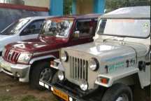 Jungle Holidayz, Jungle Holidays, Jungle Holidayz Masinagudi, Masinagudi Jeep Safari, Masinagudi Trekking, Masinagudi Gipsy Safari, Masinagudi Waterfalls, Masinagudi Camp Fire, Masinagudi Historical Places, Masinagudi Sightseeing,  Masinagudi Trekking, Masinagudi Travels, Masinagudi Tours, Masinagudi Tours And Travels, Car Rents Masinagudi, Car Rentals Ooty, Cab Services Masinagudi, Cab Rentals, Taxi Rentals, Travels Masinagudi, Tourism Masinagudi, Jungle Holidayz Ooty, Ooty Jeep Safari, Ooty Trekking, Ooty Gipsy Safari, Ooty Waterfalls, Ooty Camp Fire, Ooty Historical Places, Ooty Sightseeing, Mysore Sightseeing,  Masinagudi, Masinagudi Resorts,  Masinagudi  Resort, Masinagudi Resorts, Masinagudi Hotels, Masinagudi Jungle Lodge, Masinagudi Jungle, Masinagudi Wild Life Resorts, Masinagudi Forest Hotel, Masinagudi Forest Resorts, Wildlife Resorts In Masinagudi, Masinagudi Cottages, Masinagudi Resorts Tree House, Jungle Retreat Resort Masinagudi, Jungle Hut Resort Masinagudi, Masinagudi Resorts Tariff, Safari Land Resort Masinagudi, Masinagudi Location, Masinagudi Home Stay, Masinagudi Jungle Resort, Masinagudi Cottages, Masinagudi Tree House, Masinagudi Weather, Masinagudi To Ooty, Most Popular Resorts In Masinagudi, Best Masinagudi Resorts, Hotels In Masinagudi, Resorts In Masinagudi, Cottages In Masinagudi, Home Stay In Masinagudi, Rooms In Masinagudi, Bird Watching Masinagudi,  Birding In Masinagudi, Wildlife Resort In Masinagudi, Resorts In Masinagudi-Mudumalai, Masinagudi Location, Fire Camp In Masinagudi,  Masinagudi To Ooty, Masinagudi To Chennai,  Masinagudi To Coimbatore,  Masinagudi To Bangalore, Masinagudi Jungle Trekking,  Trekking In Masinagudi, Masinagudi Trekking Booking, Trekking Booking Ooty, Trekking Mudumalai, Trekking Nilgiris, Masinagudi Resort Booking, Masinagudi Cottage Booking, Places To Stay In Masinagudi, Trekking Through Masinagudi, Activities In Masinagudi Such As Trekking,  Adventure Jungle Camping, Adventure Jungle Package, Jungle Camping,  Jungle Package,  Luxury Adventure Package, Tree Top Package, Best Family Resort In Masinagudi, Best Family Resort In Masinagudi Mudumalai  Forest, Masinagudi Forest Wildlife Resort, Masinagudi Trekking Cost, Masinagudi Trekking Booking, Masinagudi Jeep Safari,  Masinagudi Trekking Shed, Vibudhimalai Trek, Activities In Masinagudi Mudumalai Trekking,  Night Trekking In Masinagudi, Best Forest Resort In Masinagudi‎ , Wildlife Forest Lodges & Resorts In Masinagudi