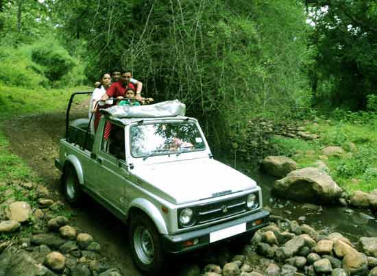 Jungle Holidayz, Jungle Holidays, Jungle Holidayz Masinagudi, Masinagudi Jeep Safari, Masinagudi Trekking, Masinagudi Gipsy Safari, Masinagudi Waterfalls, Masinagudi Camp Fire, Masinagudi Historical Places, Masinagudi Sightseeing,  Masinagudi Trekking, Masinagudi Travels, Masinagudi Tours, Masinagudi Tours And Travels, Car Rents Masinagudi, Car Rentals Ooty, Cab Services Masinagudi, Cab Rentals, Taxi Rentals, Travels Masinagudi, Tourism Masinagudi, Jungle Holidayz Ooty, Ooty Jeep Safari, Ooty Trekking, Ooty Gipsy Safari, Ooty Waterfalls, Ooty Camp Fire, Ooty Historical Places, Ooty Sightseeing, Mysore Sightseeing,  Masinagudi, Masinagudi Resorts,  Masinagudi  Resort, Masinagudi Resorts, Masinagudi Hotels, Masinagudi Jungle Lodge, Masinagudi Jungle, Masinagudi Wild Life Resorts, Masinagudi Forest Hotel, Masinagudi Forest Resorts, Wildlife Resorts In Masinagudi, Masinagudi Cottages, Masinagudi Resorts Tree House, Jungle Retreat Resort Masinagudi, Jungle Hut Resort Masinagudi, Masinagudi Resorts Tariff, Safari Land Resort Masinagudi, Masinagudi Location, Masinagudi Home Stay, Masinagudi Jungle Resort, Masinagudi Cottages, Masinagudi Tree House, Masinagudi Weather, Masinagudi To Ooty, Most Popular Resorts In Masinagudi, Best Masinagudi Resorts, Hotels In Masinagudi, Resorts In Masinagudi, Cottages In Masinagudi, Home Stay In Masinagudi, Rooms In Masinagudi, Bird Watching Masinagudi,  Birding In Masinagudi, Wildlife Resort In Masinagudi, Resorts In Masinagudi-Mudumalai, Masinagudi Location, Fire Camp In Masinagudi,  Masinagudi To Ooty, Masinagudi To Chennai,  Masinagudi To Coimbatore,  Masinagudi To Bangalore, Masinagudi Jungle Trekking,  Trekking In Masinagudi, Masinagudi Trekking Booking, Trekking Booking Ooty, Trekking Mudumalai, Trekking Nilgiris, Masinagudi Resort Booking, Masinagudi Cottage Booking, Places To Stay In Masinagudi, Trekking Through Masinagudi, Activities In Masinagudi Such As Trekking,  Adventure Jungle Camping, Adventure Jungle Package, Jungle Camping,  Jungle Package,  Luxury Adventure Package, Tree Top Package, Best Family Resort In Masinagudi, Best Family Resort In Masinagudi Mudumalai  Forest, Masinagudi Forest Wildlife Resort, Masinagudi Trekking Cost, Masinagudi Trekking Booking, Masinagudi Jeep Safari,  Masinagudi Trekking Shed, Vibudhimalai Trek, Activities In Masinagudi Mudumalai Trekking,  Night Trekking In Masinagudi, Best Forest Resort In Masinagudi‎ , Wildlife Forest Lodges & Resorts In Masinagudi